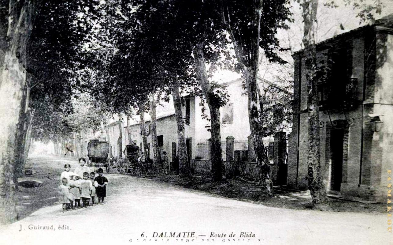 2860- Dalmatie - Route de Blida.jpg